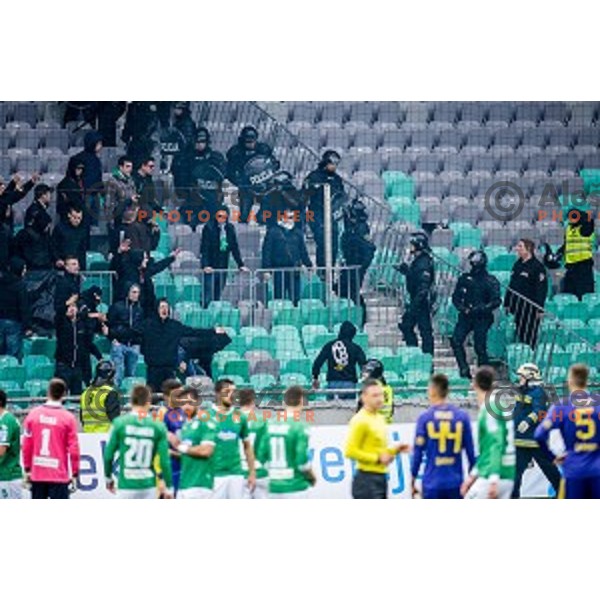Green Dragons in action during football match Olimpija - Maribor, Round 4 of Prvaliga Telekom 2013-14 , Stozice , Ljubljana, 02.03.2014