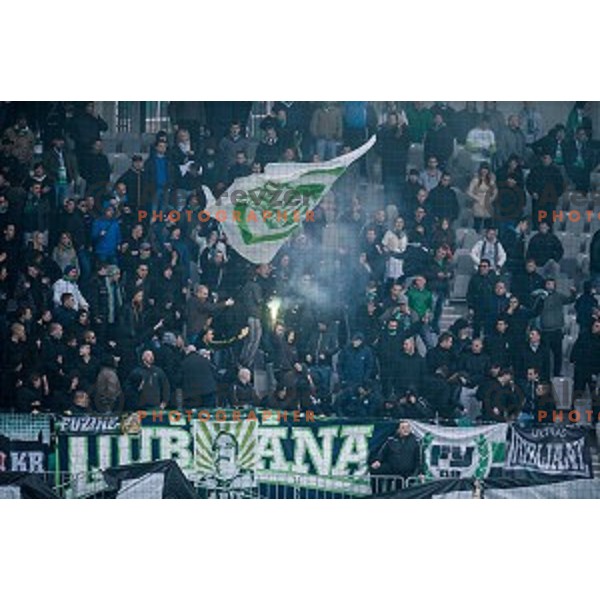 Green Dragons in action during football match Olimpija - Maribor, Round 4 of Prvaliga Telekom 2013-14 , Stozice , Ljubljana, 02.03.2014