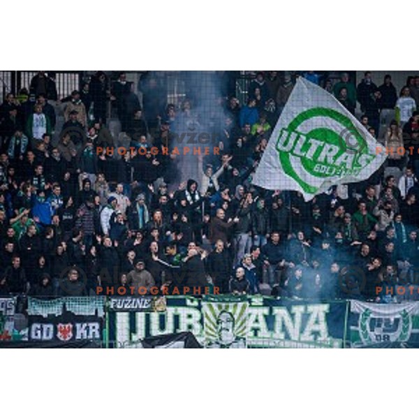 Green Dragons in action during football match Olimpija - Maribor, Round 4 of Prvaliga Telekom 2013-14 , Stozice , Ljubljana, 02.03.2014