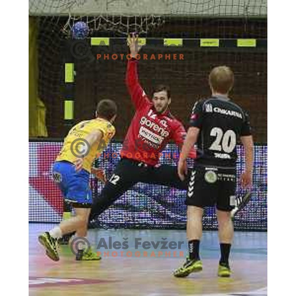  of Celje PL in action during handball match Celje PL- Gorenje Velenje in semi-final of Slovenian Cup, played in Golovec Hall, Celje, Slovenia on March 1, 2014