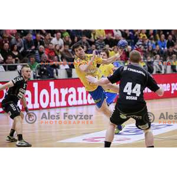 of Celje PL in action during handball match Celje PL- Gorenje Velenje in semi-final of Slovenian Cup, played in Golovec Hall, Celje, Slovenia on March 1, 2014