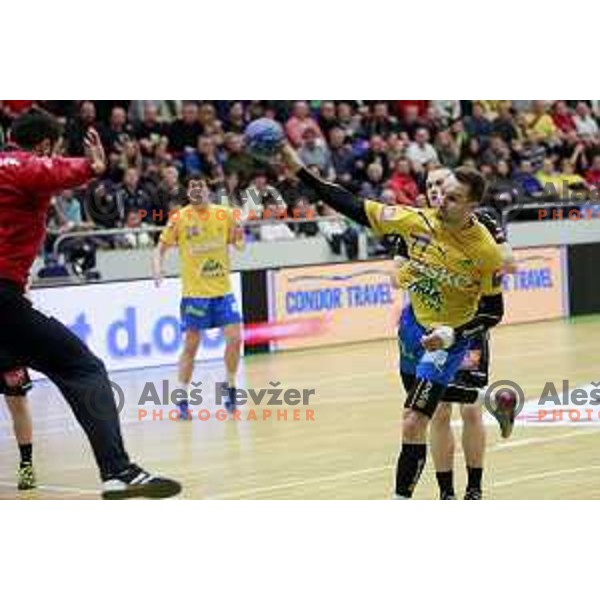 of Celje PL in action during handball match Celje PL- Gorenje Velenje in semi-final of Slovenian Cup, played in Golovec Hall, Celje, Slovenia on March 1, 2014