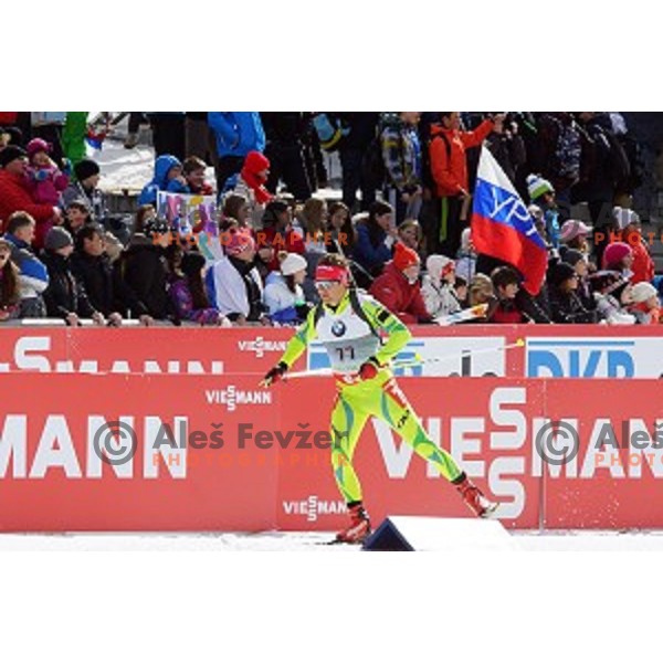Peter Dokl of Slovenia competing in Men\'s 10 km Sprint race in IBU World Cup Biathlon at Pokljuka, Slovenia on March 6, 2014