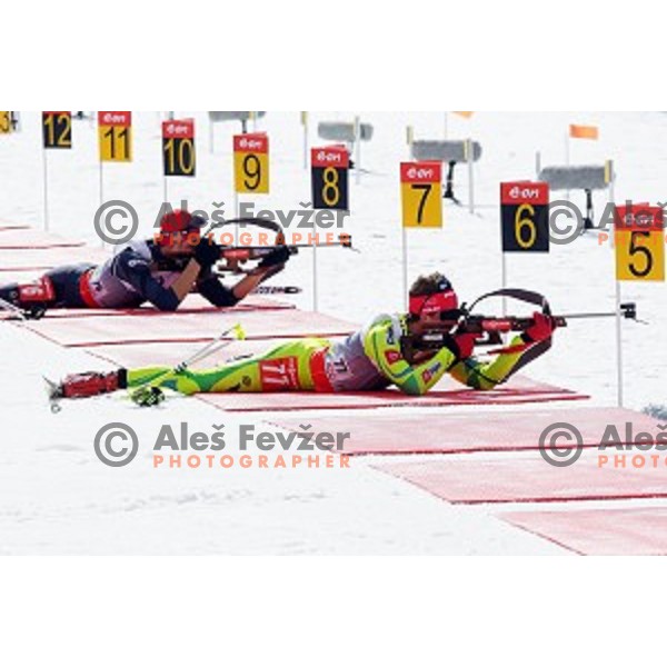 Peter Dokl of Slovenia competing in Men\'s 10 km Sprint race in IBU World Cup Biathlon at Pokljuka, Slovenia on March 6, 2014