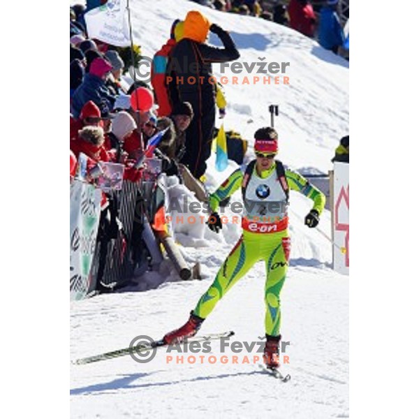 Teja Gregorin of Slovenia during Ladies 7.5 km Sprint race in IBU World Cup Biathlon at Pokljuka, Slovenia on March 6, 2014