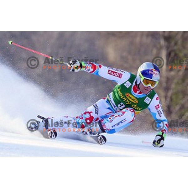 Alexis Pinturault (FRA) skiing in first run of AUDI FIS Ski World Cup Giant Slalom for 53.Vitranc Cup in Kranjska gora, Slovenia on March 8, 2014
