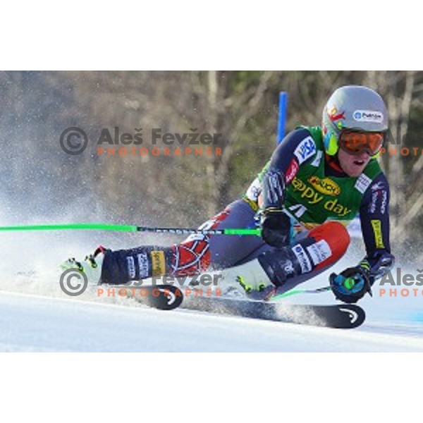 skiing in first run of AUDI FIS Ski World Cup Giant Slalom for 53.Vitranc Cup in Kranjska gora, Slovenia on March 8, 2014