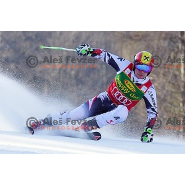 skiing in first run of AUDI FIS Ski World Cup Giant Slalom for 53.Vitranc Cup in Kranjska gora, Slovenia on March 8, 2014