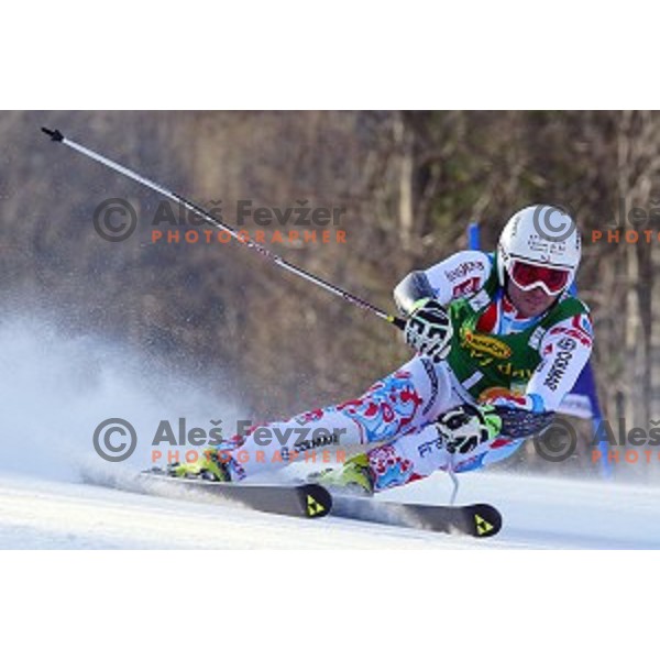 skiing in first run of AUDI FIS Ski World Cup Giant Slalom for 53.Vitranc Cup in Kranjska gora, Slovenia on March 8, 2014