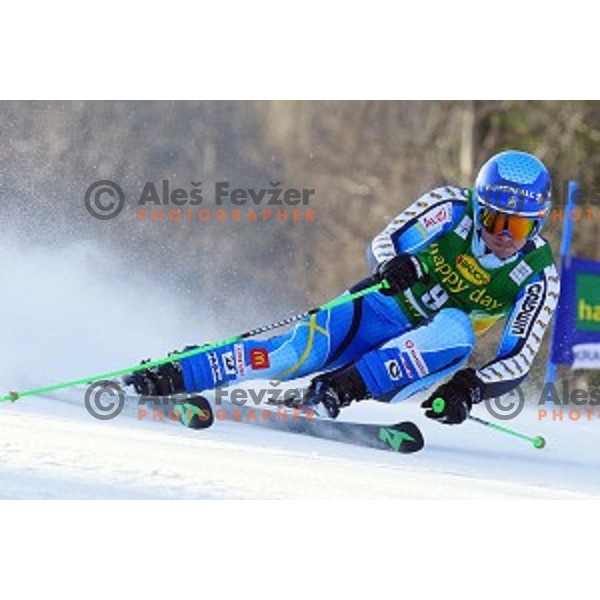 skiing in first run of AUDI FIS Ski World Cup Giant Slalom for 53.Vitranc Cup in Kranjska gora, Slovenia on March 8, 2014