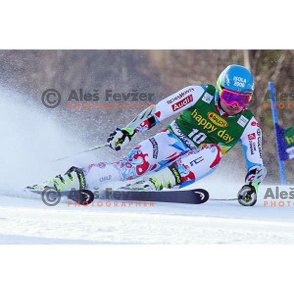 skiing in first run of AUDI FIS Ski World Cup Giant Slalom for 53.Vitranc Cup in Kranjska gora, Slovenia on March 8, 2014