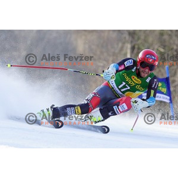 skiing in first run of AUDI FIS Ski World Cup Giant Slalom for 53.Vitranc Cup in Kranjska gora, Slovenia on March 8, 2014