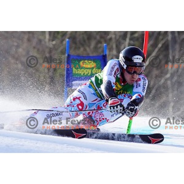 skiing in first run of AUDI FIS Ski World Cup Giant Slalom for 53.Vitranc Cup in Kranjska gora, Slovenia on March 8, 2014