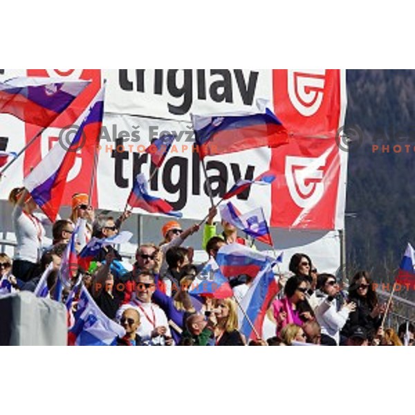 at AUDI FIS Ski World Cup Giant Slalom for 53.Vitranc Cup in Kranjska gora, Slovenia on March 8, 2014