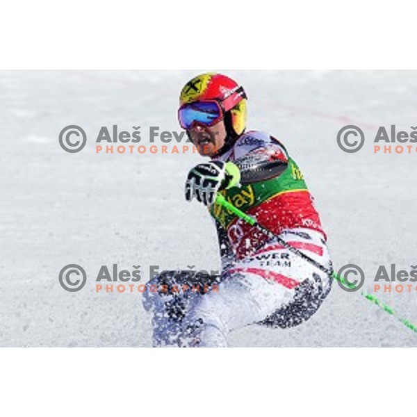 Marcel Hirscher (AUT)at AUDI FIS Ski World Cup Giant Slalom for 53.Vitranc Cup in Kranjska gora, Slovenia on March 8, 2014