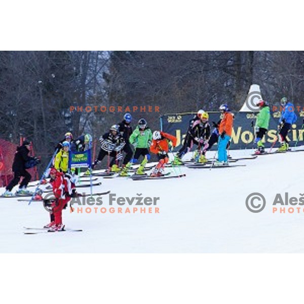 Course inspection before first run of AUDI FIS Ski World Cup Giant Slalom for 53.Vitranc Cup in Kranjska gora, Slovenia on March 8, 2014