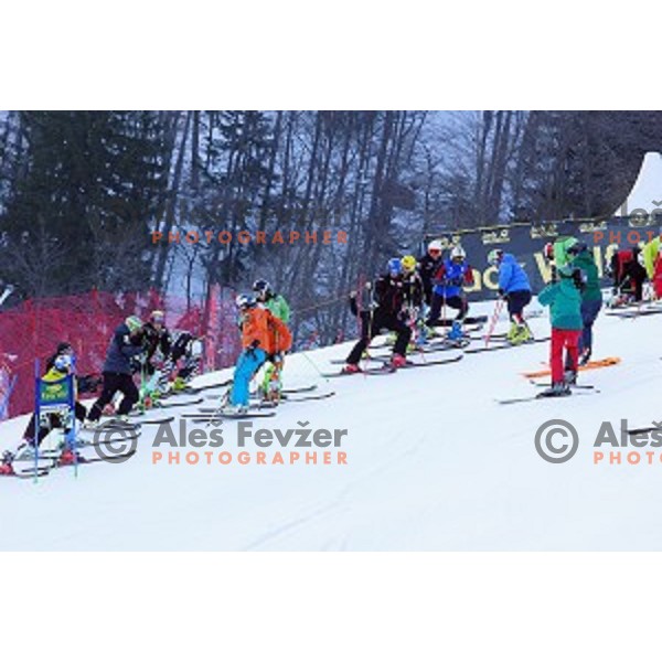 Course inspection before first run of AUDI FIS Ski World Cup Giant Slalom for 53.Vitranc Cup in Kranjska gora, Slovenia on March 8, 2014