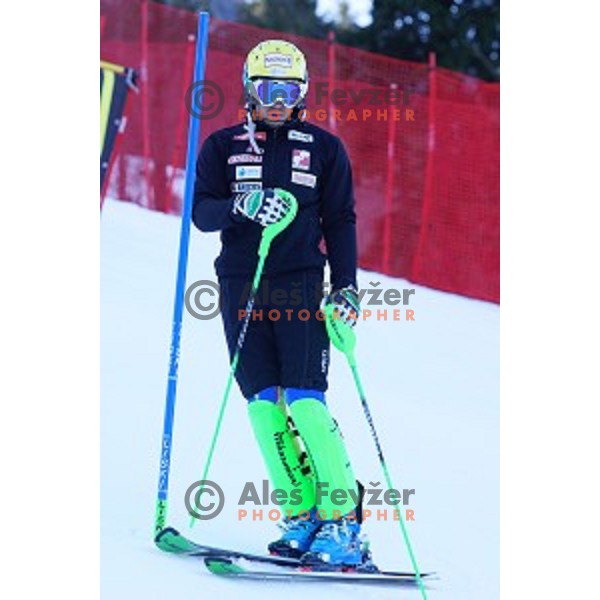 Course inspection before AUDI FIS World Cup Slalom for 53.Vitranc Cup in Kranjska gora, Slovenia on March 8, 2014