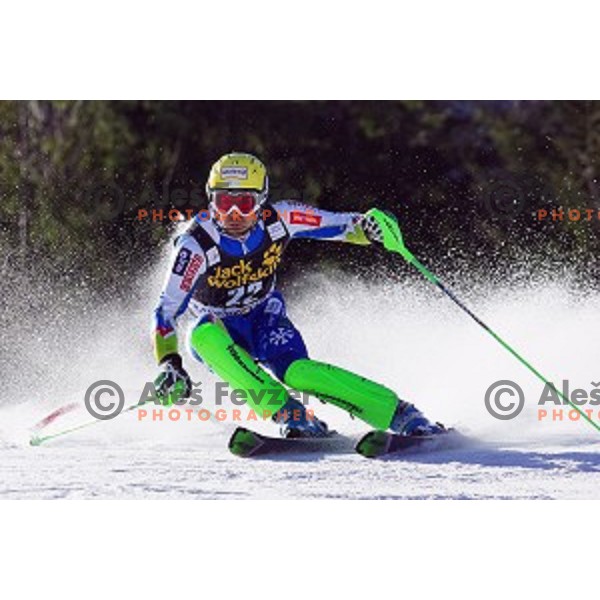 Mitja Valencic (SLO)skiing in first run of AUDI FIS World Cup Slalom for 53.Vitranc Cup in Kranjska gora, Slovenia on March 9, 2014