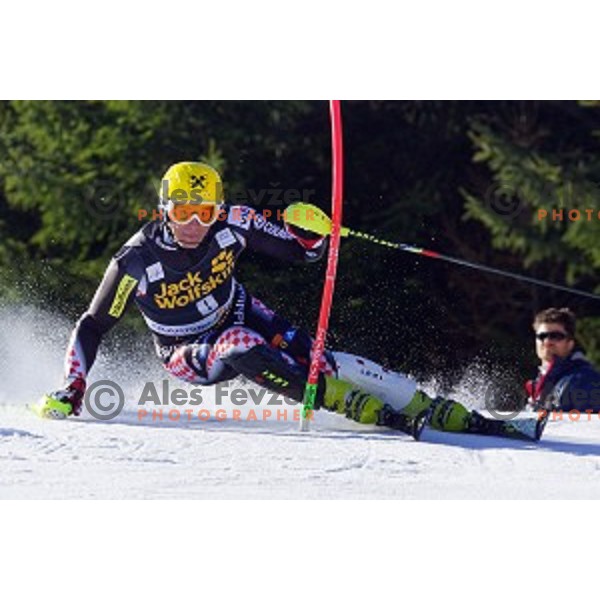 skiing in first run of AUDI FIS World Cup Slalom for 53.Vitranc Cup in Kranjska gora, Slovenia on March 9, 2014