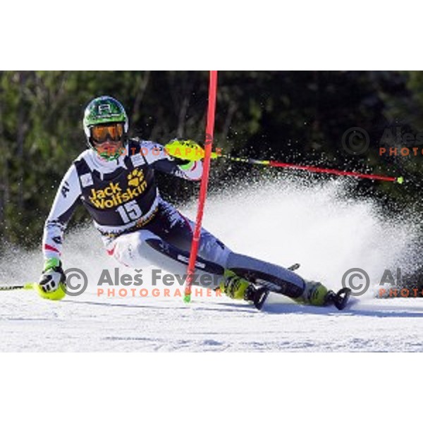 skiing in first run of AUDI FIS World Cup Slalom for 53.Vitranc Cup in Kranjska gora, Slovenia on March 9, 2014