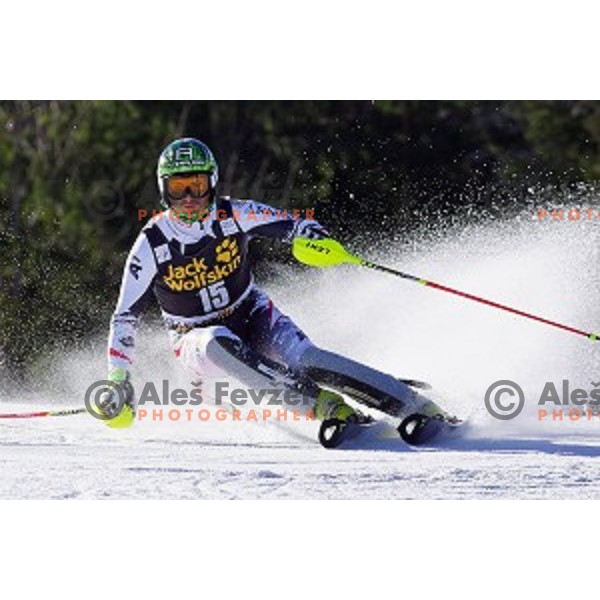 skiing in first run of AUDI FIS World Cup Slalom for 53.Vitranc Cup in Kranjska gora, Slovenia on March 9, 2014