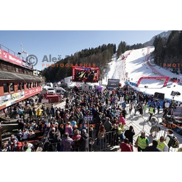 at AUDI FIS World Cup Slalom for 53.Vitranc Cup in Kranjska gora, Slovenia on March 9, 2014