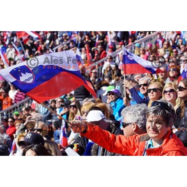 at AUDI FIS World Cup Slalom for 53.Vitranc Cup in Kranjska gora, Slovenia on March 9, 2014