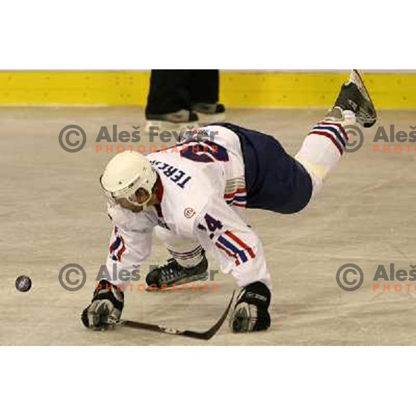 Terlikar at match Slovenia- Romania at World Championship Division 1 group B in Ljubljana.Photo by Ales Fevzer 