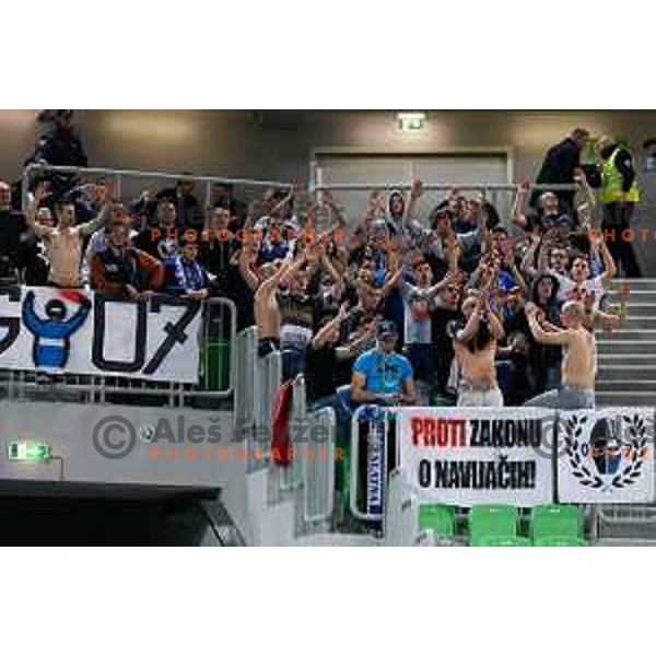 Fans of Rogaska in action during basketball match between Union Olimpija and Rogaska of Telemach Leauge, played in Arena Stozice, Ljubljana, Slovenia on March 19, 2014