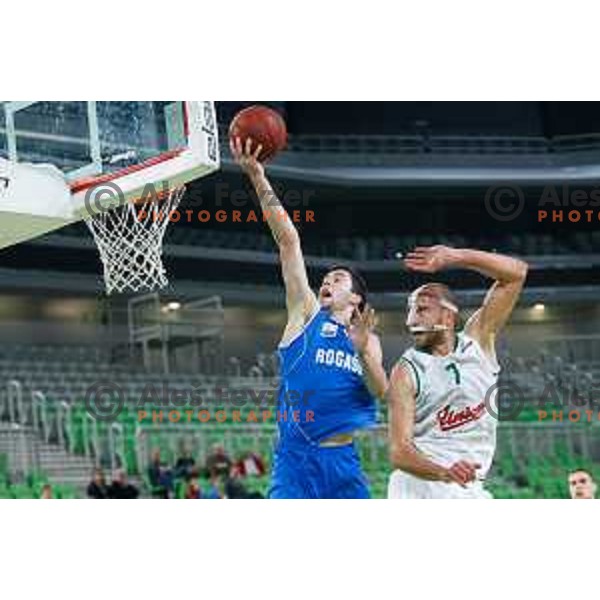 Mitja Nikolic of Rogaska and Nebojsa Joksimovic of Union Olimpija in action during basketball match between Union Olimpija and Rogaska of Telemach Leauge, played in Arena Stozice, Ljubljana, Slovenia on March 19, 2014