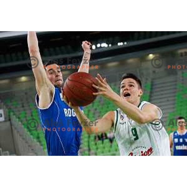 Grega Sajevic of Union Olimpija in action during basketball match between Union Olimpija and Rogaska of Telemach Leauge, played in Arena Stozice, Ljubljana, Slovenia on March 19, 2014