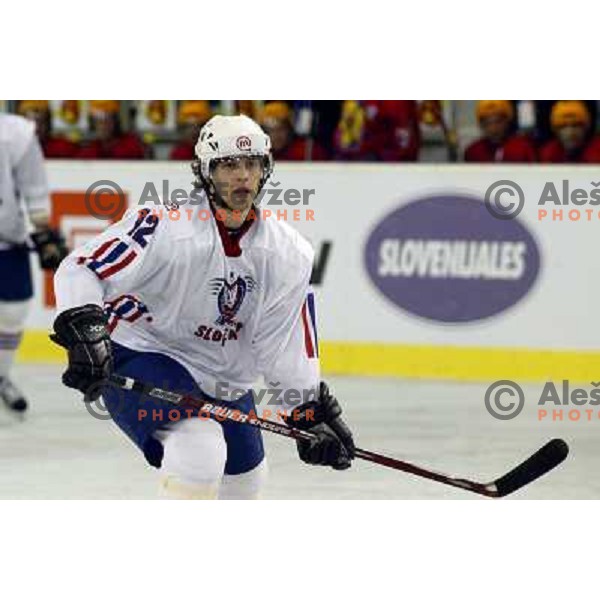 David Rodman at match Slovenia- Romania at World Championship Division 1 group B in Ljubljana.Photo by Ales Fevzer 