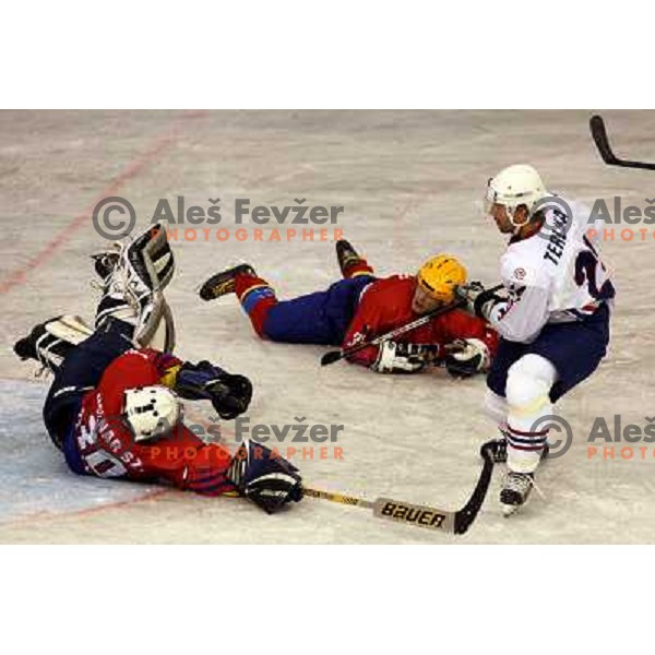 Terlikar at match Slovenia- Romania at World Championship Division 1 group B in Ljubljana.Photo by Ales Fevzer 