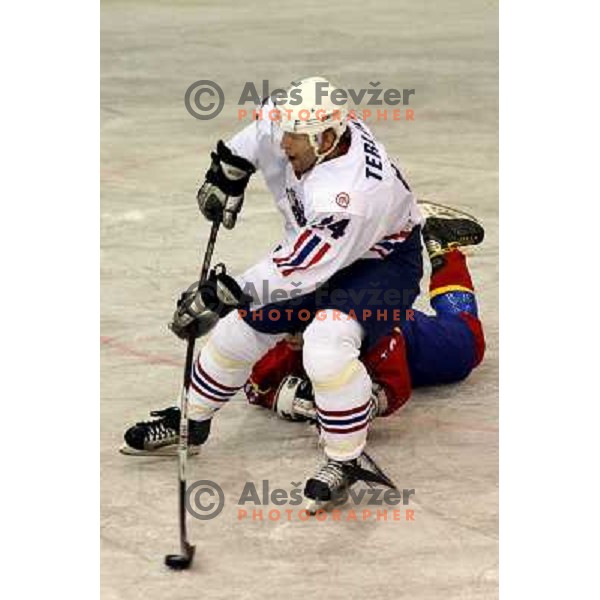 Terlikar at match Slovenia- Romania at World Championship Division 1 group B in Ljubljana.Photo by Ales Fevzer 