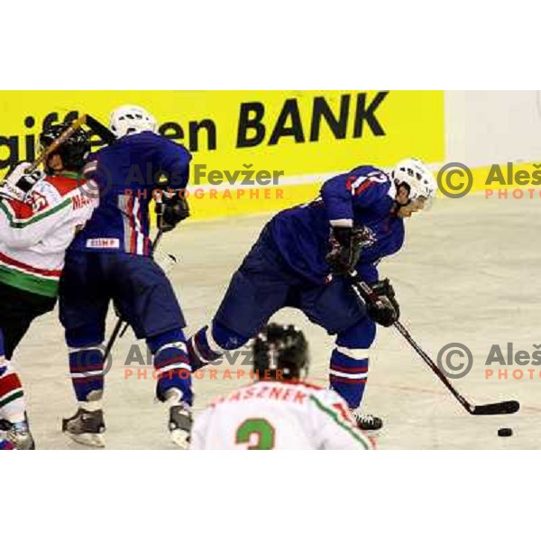 David Rodman (12)at match Slovenia- Hungary at World Championship Division 1 group B in Ljubljana.Photo by Ales Fevzer 