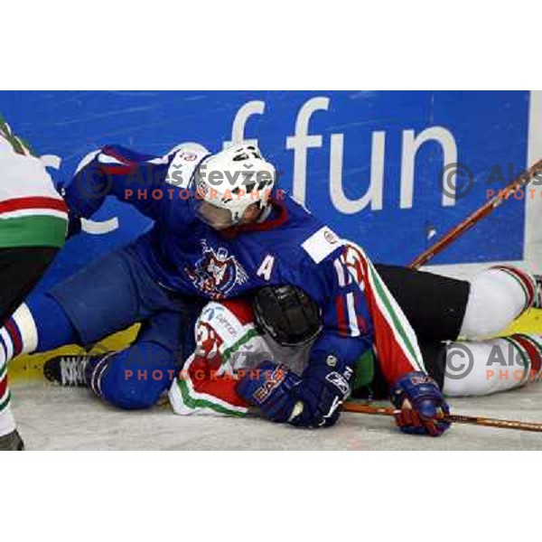 Jurij Golicic at match Slovenia- Hungary at World Championship Division 1 group B in Ljubljana.Photo by Ales Fevzer 