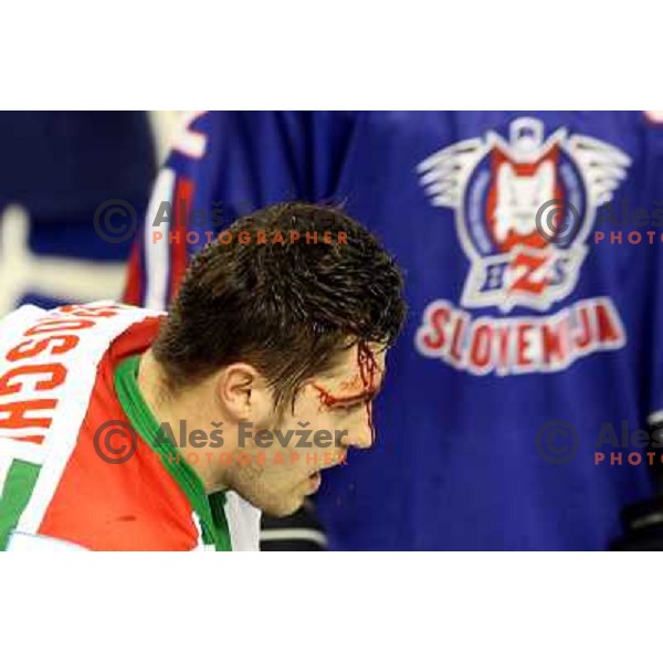 Groschl at match Slovenia- Hungary at World Championship Division 1 group B in Ljubljana.Photo by Ales Fevzer 