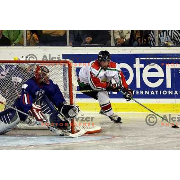 Andrej Hocevar at match Slovenia- Hungary at World Championship Division 1 group B in Ljubljana.Photo by Ales Fevzer 