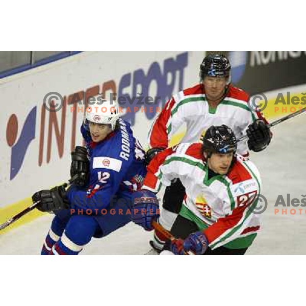 David Rodman at match Slovenia- Hungary at World Championship Division 1 group B in Ljubljana.Photo by Ales Fevzer 