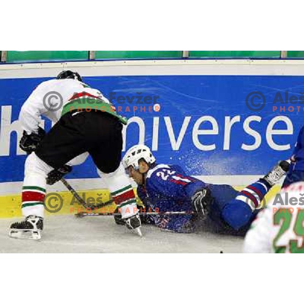 Marcel Rodman at match Slovenia- Hungary at World Championship Division 1 group B in Ljubljana.Photo by Ales Fevzer 