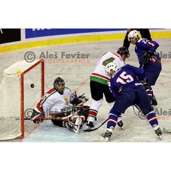 Egon Muric scores third goal for Slovenia at match Slovenia- Hungary at World Championship Division 1 group B in Ljubljana.Photo by Ales Fevzer 