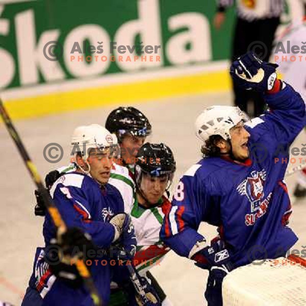 Razingar and Poloncic at match Slovenia- Hungary at World Championship Division 1 group B in Ljubljana.Photo by Ales Fevzer 