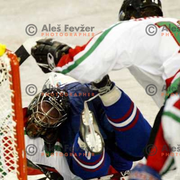 Szuper at match Slovenia- Hungary at World Championship Division 1 group B in Ljubljana.Photo by Ales Fevzer 