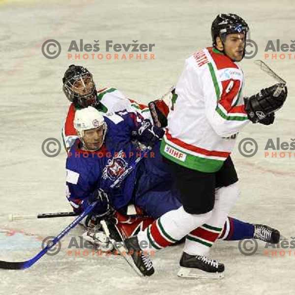 Anze Terlikar at match Slovenia- Hungary at World Championship Division 1 group B in Ljubljana.Photo by Ales Fevzer 