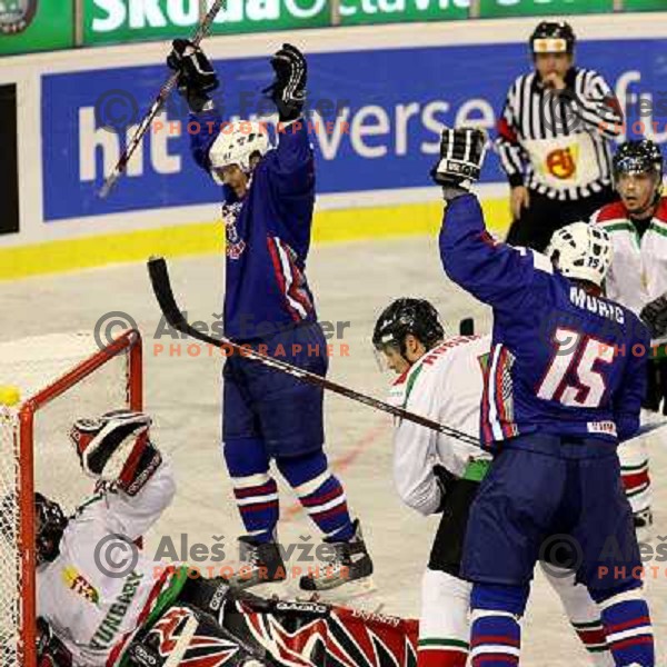 Muric scores third goal at match Slovenia- Hungary at World Championship Division 1 group B in Ljubljana.Photo by Ales Fevzer 