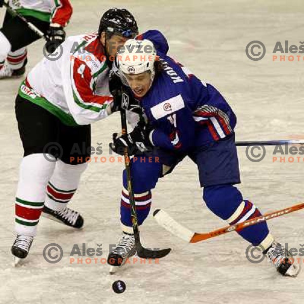 Kopitar at match Slovenia- Hungary at World Championship Division 1 group B in Ljubljana.Photo by Ales Fevzer 