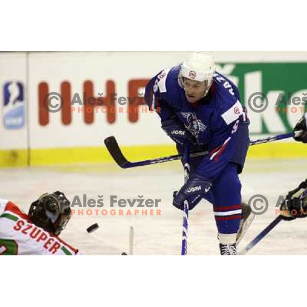 Razingar at match Slovenia- Hungary at World Championship Division 1 group B in Ljubljana.Photo by Ales Fevzer 