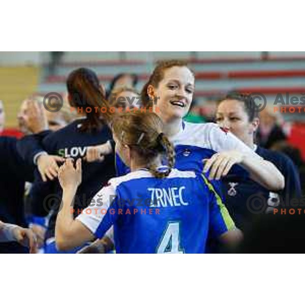 Ana Gros of Slovenia during handball match between Slovenia and Switzerland in qualification for EHF Euro Hungary - Croatia 2014 played in Kodeljevo Hall, Ljubljana, Slovenia on March 30, 2014