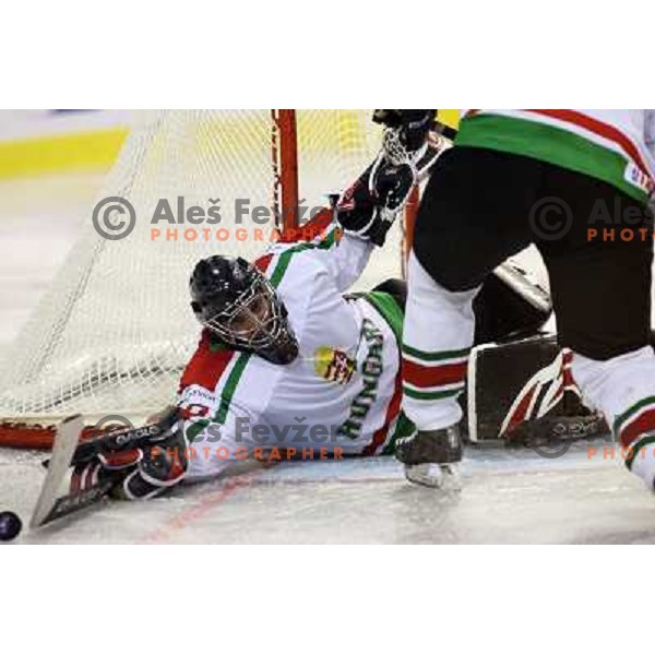 Levente Szuper at match Slovenia- Hungary at World Championship Division 1 group B in Ljubljana.Photo by Ales Fevzer 